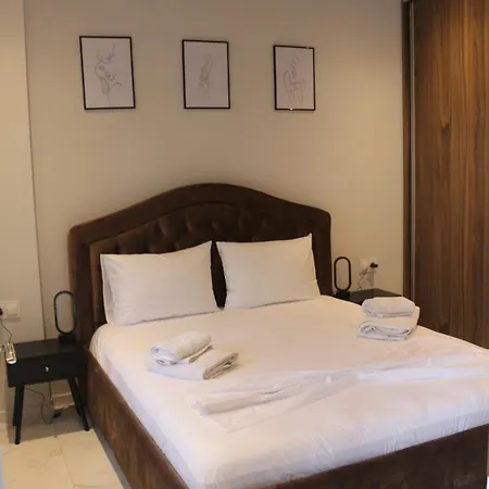 Artemis Αργυρόκαστρο